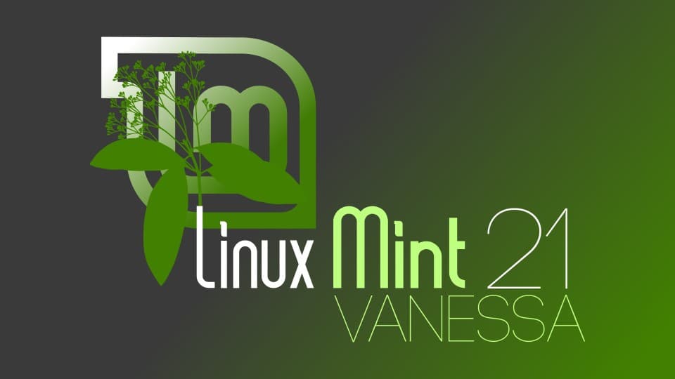 How to install Google Chrome on Linux Mint 21 vanessa via the terminal emulator