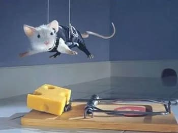 Avoid the Premature Optimization Trap in Software Engineering